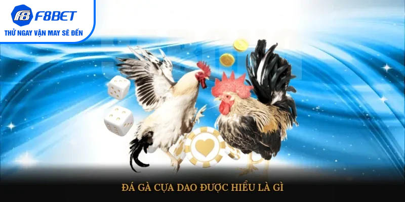 Đá gà cựa dao được hiểu là gì?