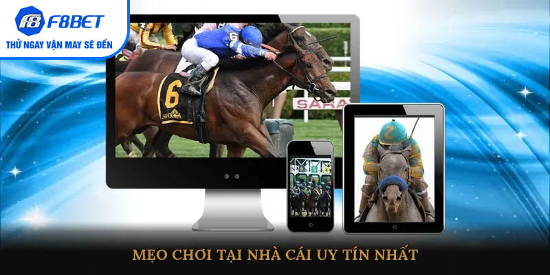 Mẹo chơi tại nhà cái uy tín nhất